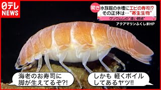 【驚き】「水槽に“エビの寿司”？」「硬直したテナガザル？」話題の動物…担当者に聞く!