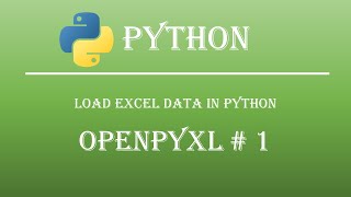 Loading Excel Data in Python: Step-by-Step Guide Openpyxl tutorial # 1