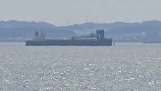 日本郵船、内航石炭運搬、うしお　JERA横須賀火力で荷役後、横浜に向かう🌊🌊