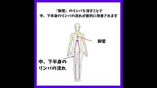 手では届かない深部のリンパを流すテクニック【リンパブレス®️】