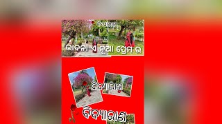 #Bidyarana  l Bhabana E Nua Prema Ra l ଭାବନା ଏ ନୂଆ ପ୍ରେମର