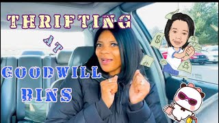 Let’s GO THRIFTING the GOODWILL BINS‼️50 POUNDS of Goodies!! Guess WHO Paid for My ENTIRE HAUL ⁉️😳