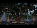 calm u0026 peaceful 𝐈𝐭 𝐬 𝐍𝐚𝐭𝐮𝐫𝐞 𝐈𝐭 𝐬 𝐕𝐚𝐚𝐧𝐲𝐚