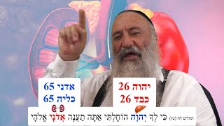 איך מרפאים את הכליות? ומה השם הקדוש השולט עליהן? שיעור מרתק מאד