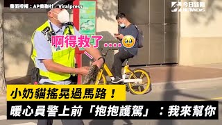 小奶貓搖晃過馬路！暖心員警上前「抱抱護駕」：我來幫你｜NOWnews