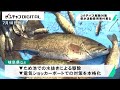 コクチバス駆除対策　県が活動費用の寄付を募る　岐阜県