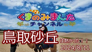 鳥取砂丘！！ラクダにまたがって、砂の美術館にもいってきました！！2024/8/11 鳥取県！！