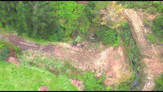 Huge washout on the Gisborne Rail line at Tutira - by Drone