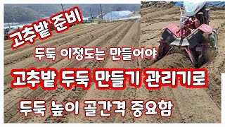 고추밭 두둑만들기 관리기로 골간격 두둑높이 [고추재배방법]