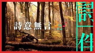 伴眠音樂： 詩意無言 伴您入眠  20230308【詩伴直播】#傳統文化 #中國 #古詩詞 #睡眠#音樂