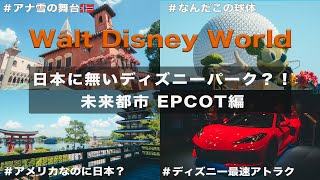 [Epcot] アメリカディズニーで最速のアトラクションに乗ってきた！/フロリダディズニー/wdw旅行記