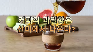 커피의 과일향은 산미에서 나온다? 커피가 가지고 있는 9가지 유기산의 종류 #커피 #산미