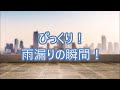 【悲惨】自宅の天井裏が雨漏りで水浸しに！放置するとシロアリの原因にも！