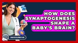 How Does Synaptogenesis Shape A Baby's Brain? - Brain Development Hub
