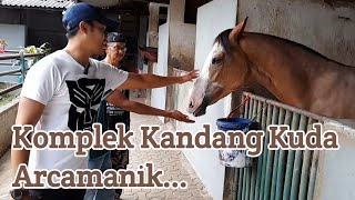 Komplek Kandang Kuda, Banyak Kuda Kuda Bagus