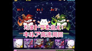 パズドラ【たまドラを追え！（たまドラの里）】究極キルアPT　高速周回