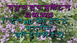 #न्यूज़ लूप बुलेटिन 13 02 2025 पिछले 9 दिन HD पोर्ट्रेट स्ट्रीम वर्टिकल हिंदी