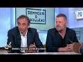 Zemmour et Naulleau, le retour - C à vous - 28/04/2015