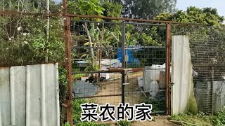 农家小院，勤劳的菜农不在家，去菜地干活了