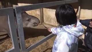 クイズや動物へのエサやり体験など　岡山市の池田動物園で開園７２周年記念イベント【岡山】 (25/02/08 10:30)