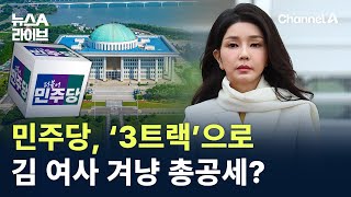 민주당, ‘3트랙’으로 김건희 여사 겨냥 총공세? / 채널A / 뉴스A 라이브