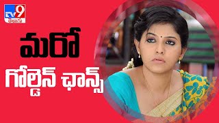 మరో గోల్డెన్ ఛాన్స్ పట్టేసిన అంజలి..! | Vakeel Saab Anjali gets another bumper offer - TV9