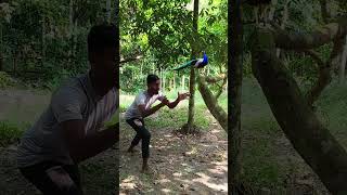 peacock catching in lichi garden  #296# #vfx #peacock #shortsfeed #virals #videos