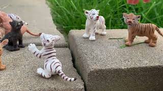 A Tiger story / Schleich ￼/