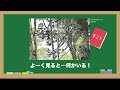 安野先生のふしぎな学校　2024 7 6~8 25北九州市立美術館で