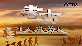 如果没有考古 人类将会怎样？20210328 |《考古公开课》CCTV科教