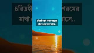 চরিত্রহীনেরা লজ্জা শরমের মাথা খেয়ে চলে আসে।