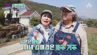 실례합니다~ 서울뚝배기 탤런트 김애경, 연하 남편과 별거 중? | TV 주치의 닥터 지.바.고 341 회