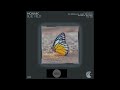 Monarc _ Blue Field (Ias Ferndale & Aurel den Bossa Remix)