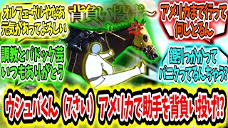 『ウシュバテソーロくん（7さい）、アメリカで調教助手に背負い投げをかます!?』に対するみんなの反応【競馬の反応集】