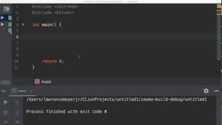 Twenty Seven - Boolean Flags using cin