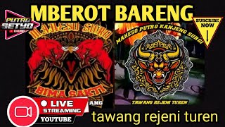 MAHESO SURO BIMA SAKTI ft MAHESO PUTRO KANJENG SURGI live TAWANG REJENI TUREN