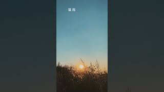 每日一句心靈雞湯語錄 心靈雞湯語錄分享 心靈雞湯 心靈雞湯名言 EP 26 #shorts #生活智慧 #心靈雞湯 #改變人生 #生命故事