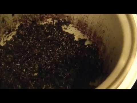 Black Sweet Rice: Using A Rice Cooker Black Sweet Rice: Using A Rice Cooker