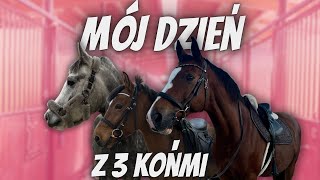 JAK WYGLĄDA MÓJ DZIEŃ W STAJNI Z 3 KOŃMI? 🐴🐴🐴