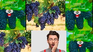 পৃথিবীর অজানা কিছু  ফল 😱🍇