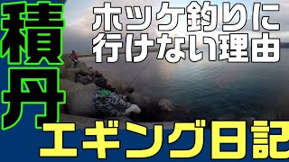 影もん釣り日記♯４２ 積丹エギング日記 ホッケ釣りに行けない理由