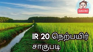 IR 20 farming series day 59 @inspiredby17 #vivasayam #vivasayi #trendingvideos  #whatsappstatus