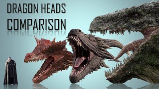 Is Drogon's Head bigger than Caraxes' and Meley's