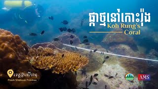 ទៅដល់កោះ មិនបានមុជទឹកមើលផ្កាថ្ម ធ្វើចឹងម៉េចបាន?