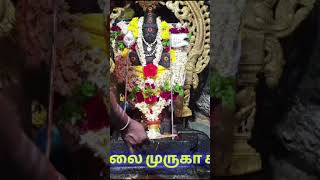 அறுபடை வீடு  கொண்ட  முருகா அனைவரையும்  நல்லபடியாக காப்பாற்று🙏