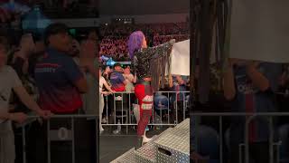 Damage Ctrl 4 Ever Bayley Said No Wwemelbourne