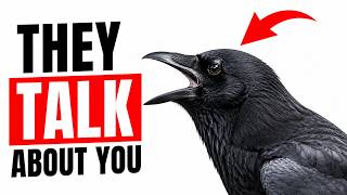 If A Crow Hates You, Other Crows Will Know