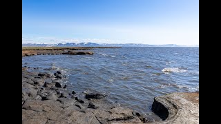 Borealization in the Bering Sea and the Arctic: Marine Ecosystems Community Meeting January 2025