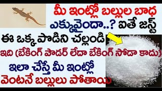 మీ ఇంట్లో బల్లుల బాధ ఎక్కువైందా? ఐతే జస్ట్ ఈ ఒక్క పొడిని చల్లండి ఇంట్లో వెంటనే బల్లులు పోతాయి..