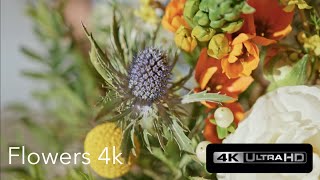 Flowers 4k (Ultra HD)⎜Relaxing Music⎜Earth from Above